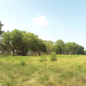 Types Of Investment Properties: Raw Land